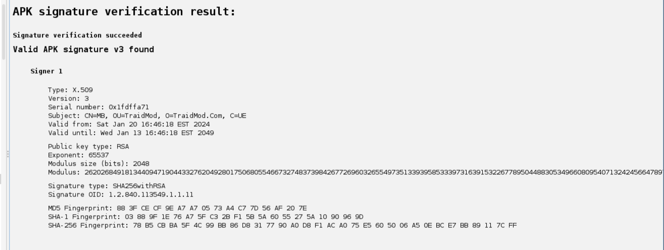 REMnux Environment Analysis